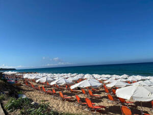 cuba-beach-bar-2020-1